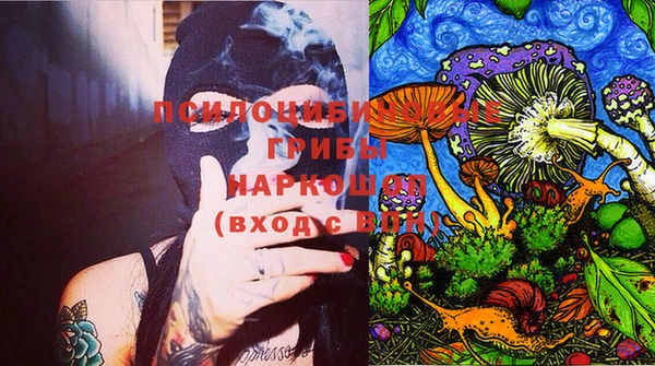 стаф Зерноград