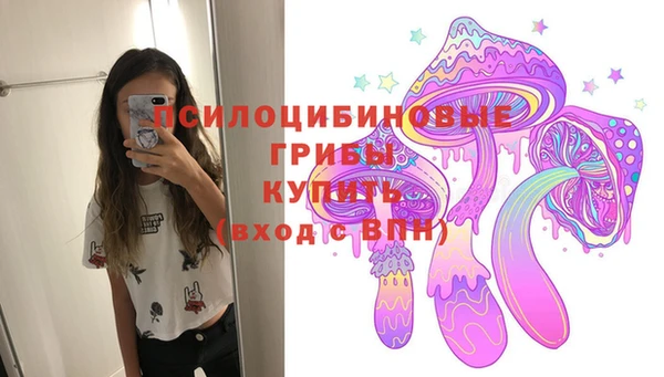 прущие грибы Зеленодольск
